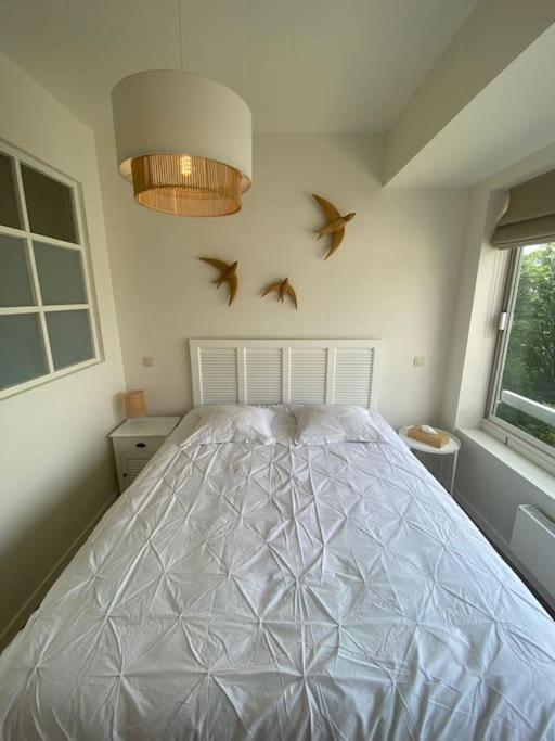 1 Chambre Avec Parking Au Coeur De Bruxelles 2D Extérieur photo